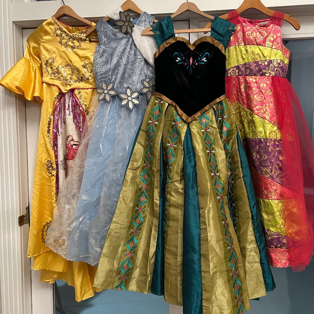 Chasing Fireflies Costume Dresses Bundle